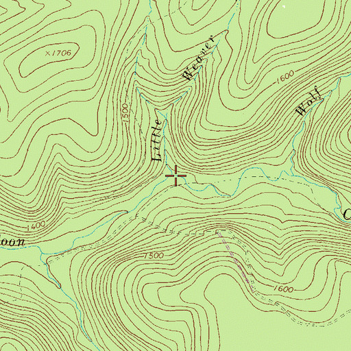 Topographic Map of Little Weaver Run, PA