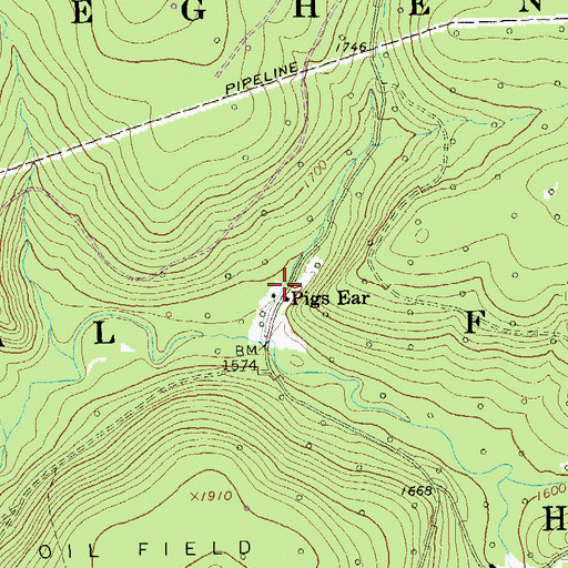 Topographic Map of Pigs Ear, PA