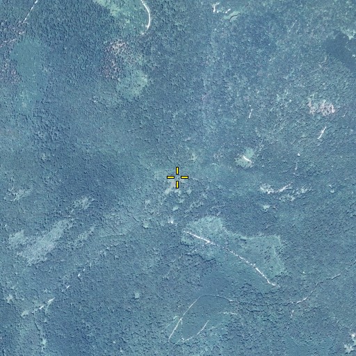 Aerial/Satellite Image of Pine Run, PA