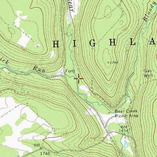Topographic Map of Red Lick Run, PA