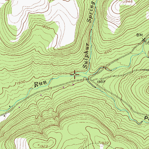 Topographic Map of Reynolds Run, PA