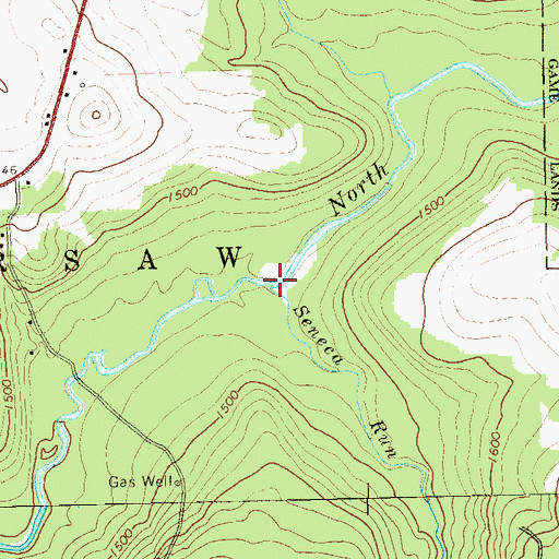 Topographic Map of Seneca Run, PA