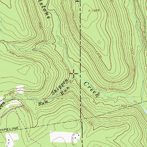 Topographic Map of Shippen Run, PA