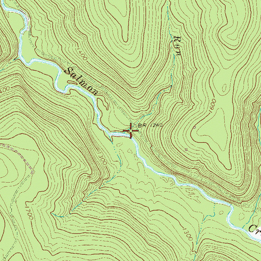 Topographic Map of Twomile Run, PA
