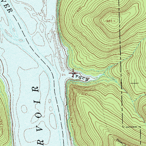Topographic Map of Tracy Run, PA