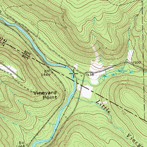 Topographic Map of Vineyard Run, PA