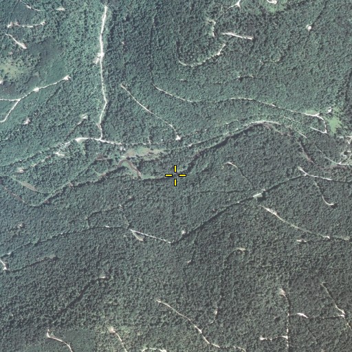 Aerial/Satellite Image of Windfall Run, PA
