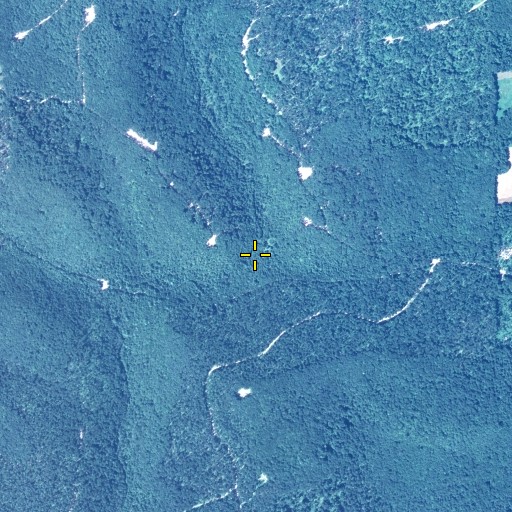 Aerial/Satellite Image of Work Run, PA