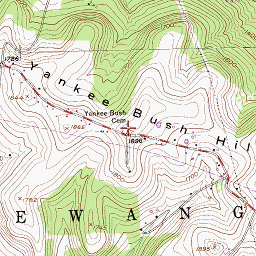Topographic Map of Yankee Bush Cemetery, PA