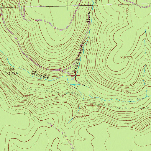 Topographic Map of Blacksnake Run, PA