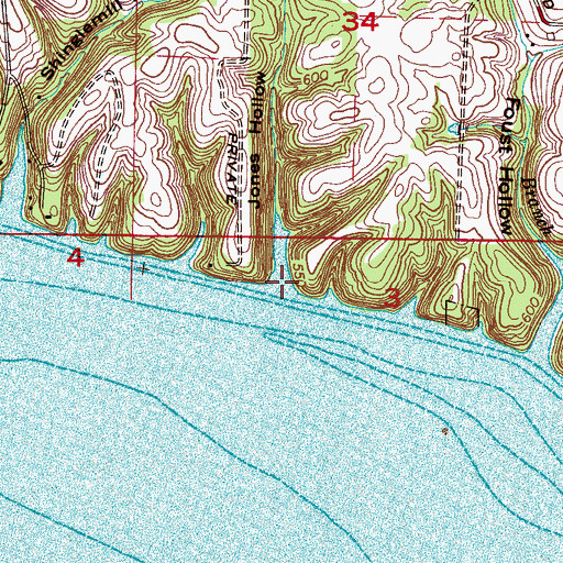 Topographic Map of Jones Hollow, AL