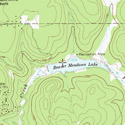 Topographic Map of Beaver Meadows Dam, PA