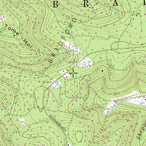 Topographic Map of Songbird School, PA