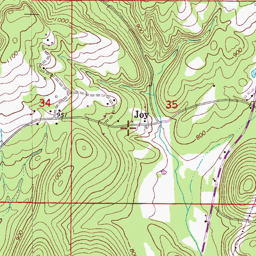 Topographic Map of Joy, AL