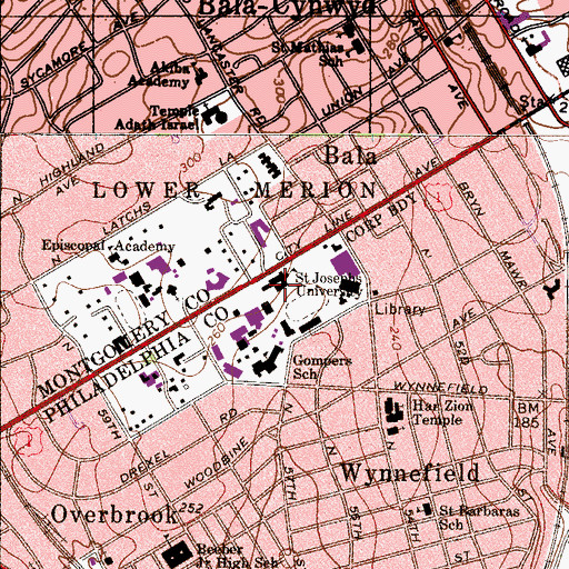 Topographic Map of Saint Josephs University, PA