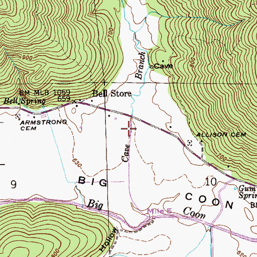 Topographic Map of Kellum Hollow, AL