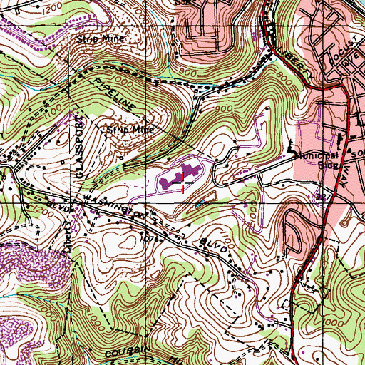 Topographic Map of South Allegheny Elementary School, PA