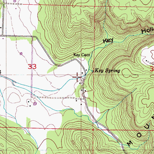 Topographic Map of Key Hollow, AL