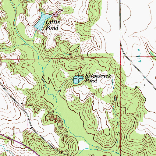 Topographic Map of Kilpatrick Pond, AL