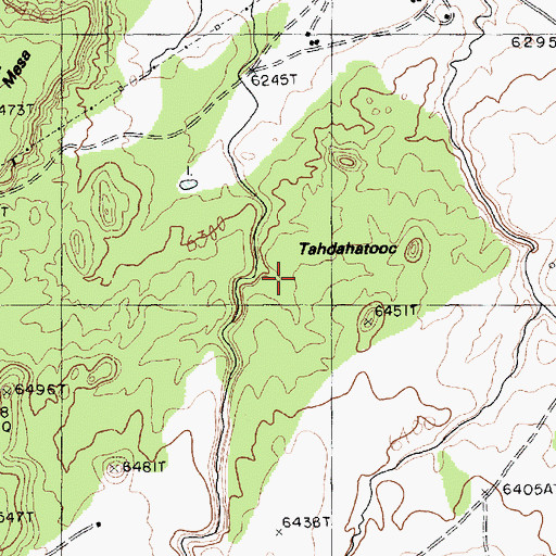 Topographic Map of Tahdahatooc, AZ
