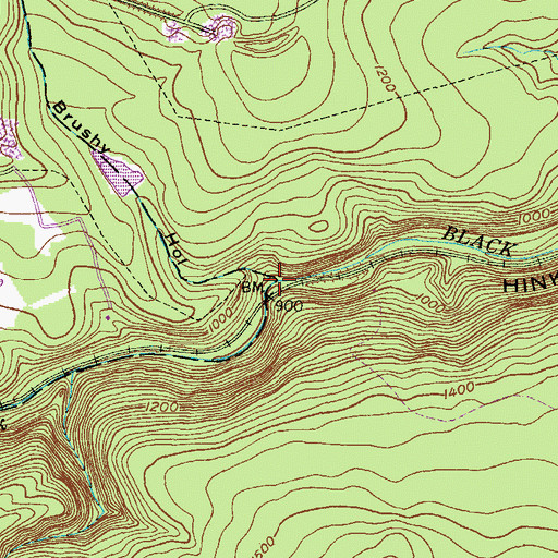 Topographic Map of Brushy Hollow Run, PA