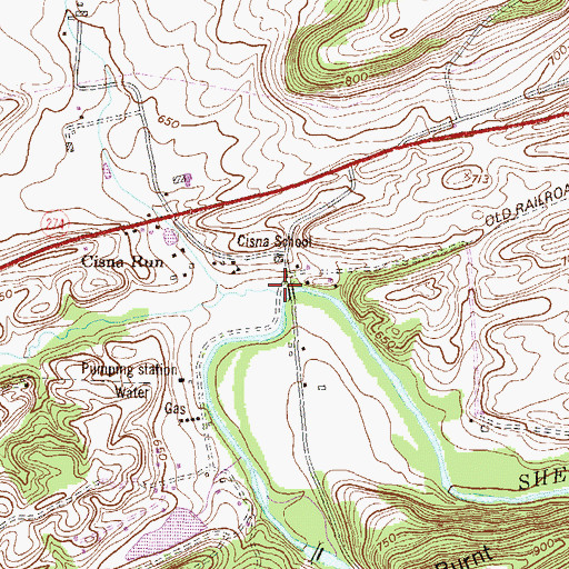 Topographic Map of Cisna Run, PA