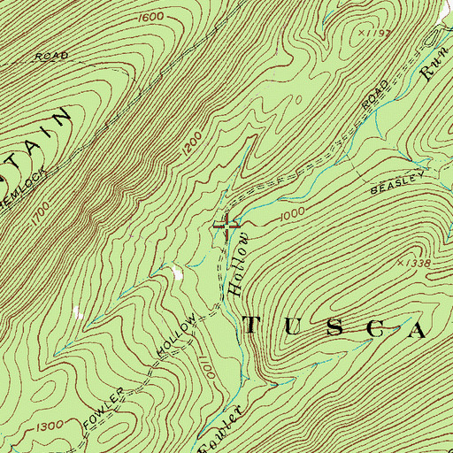 Topographic Map of Browns Run, PA