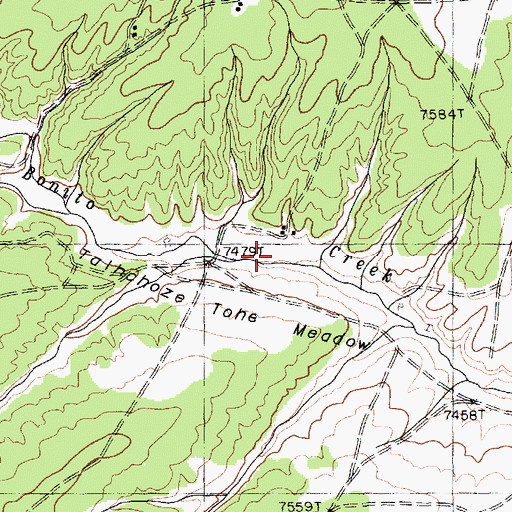 Topographic Map of Talhchoze Tohe Meadow, AZ