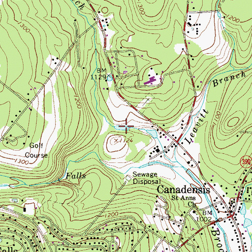 Topographic Map of Birch Lake, PA