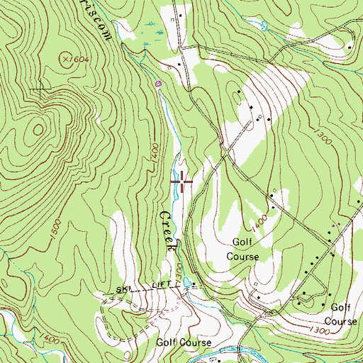 Topographic Map of Deer Lake, PA