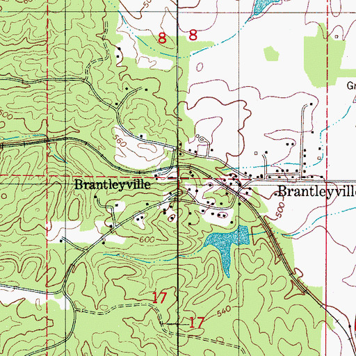 Topographic Map of Brantleyville, AL