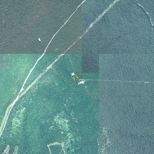 Aerial/Satellite Image of Loop Lookout Tower, PA