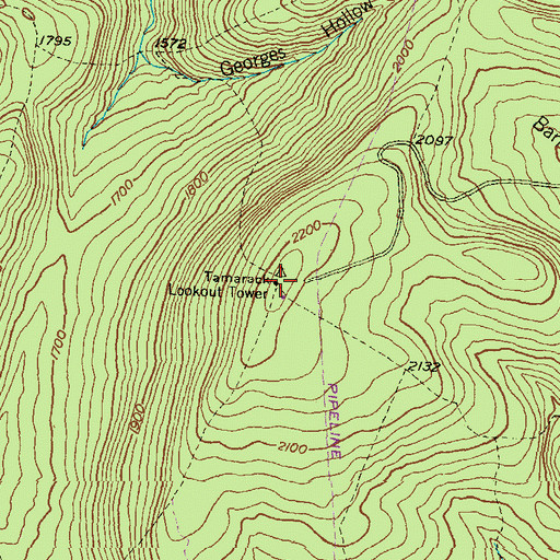 Topographic Map of Tamarack Lookout Tower, PA
