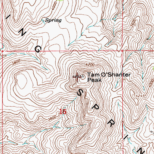 Topographic Map of Tam O'Shanter Peak, AZ
