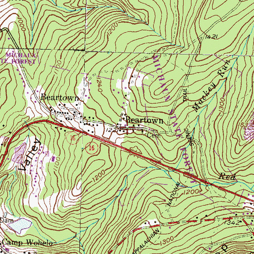 Topographic Map of Beartown Church (historical), PA