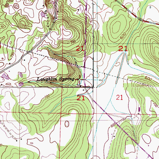 Topographic Map of Laughlin Spring, AL