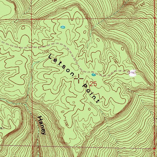 Topographic Map of Letson Point, AL