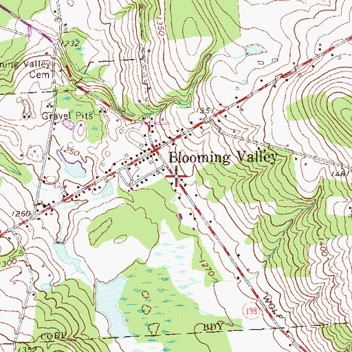 Topographic Map of Borough of Blooming Valley, PA