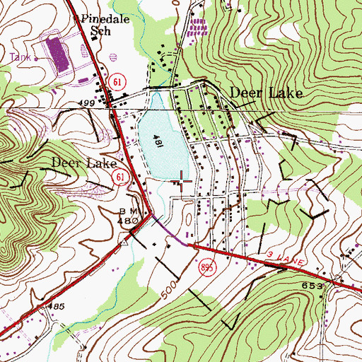 Topographic Map of Borough of Deer Lake, PA