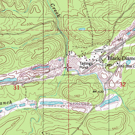 Topographic Map of Lick Branch, AL