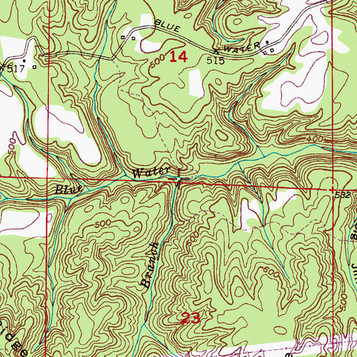 Topographic Map of Lick Branch, AL