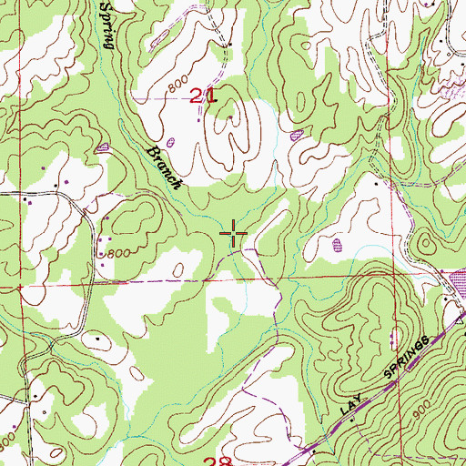 Topographic Map of Lick Branch, AL