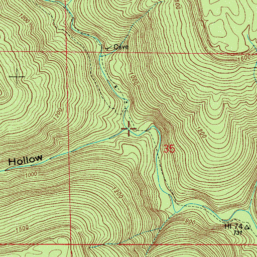 Topographic Map of Lick Branch, AL