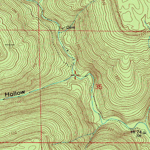 Topographic Map of Lick Branch, AL