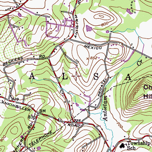 Topographic Map of Township of Alsace, PA