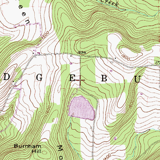 Topographic Map of Township of Ridgebury, PA
