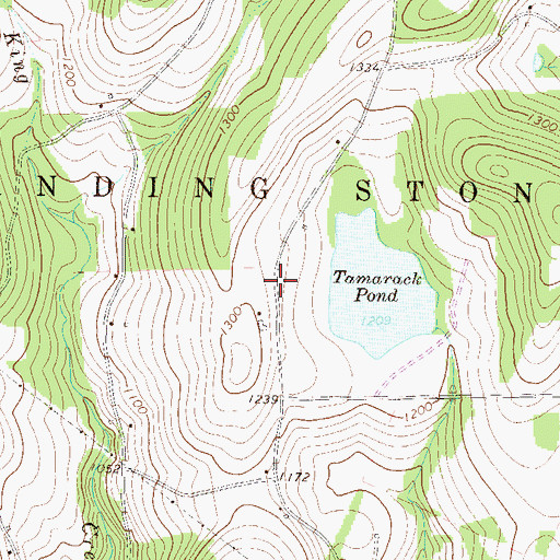 Topographic Map of Township of Standing Stone, PA