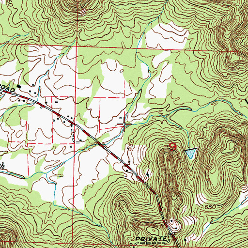 Topographic Map of Lick Hollow, AL