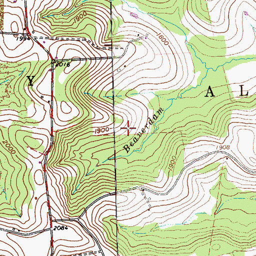 Topographic Map of Township of Allegheny, PA