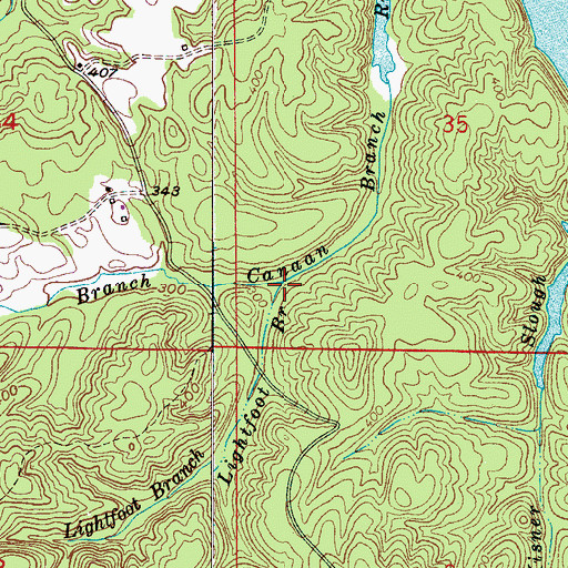 Topographic Map of Lightfoot Branch, AL
